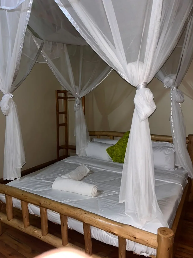 Accommodation